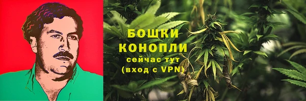 амф Пересвет