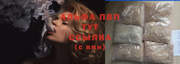 амф Пересвет