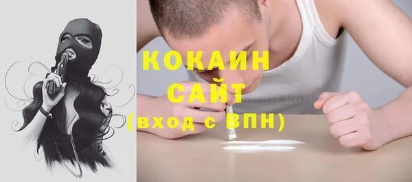 амф Пересвет