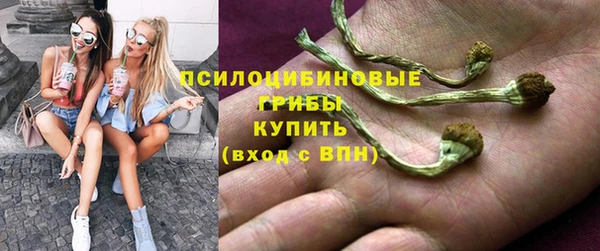дмт Пестово