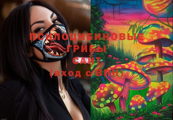 амф Пересвет