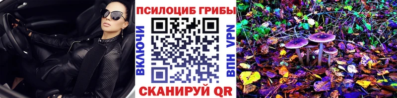 Галлюциногенные грибы Psilocybe гидра ссылки Спас-Деменск